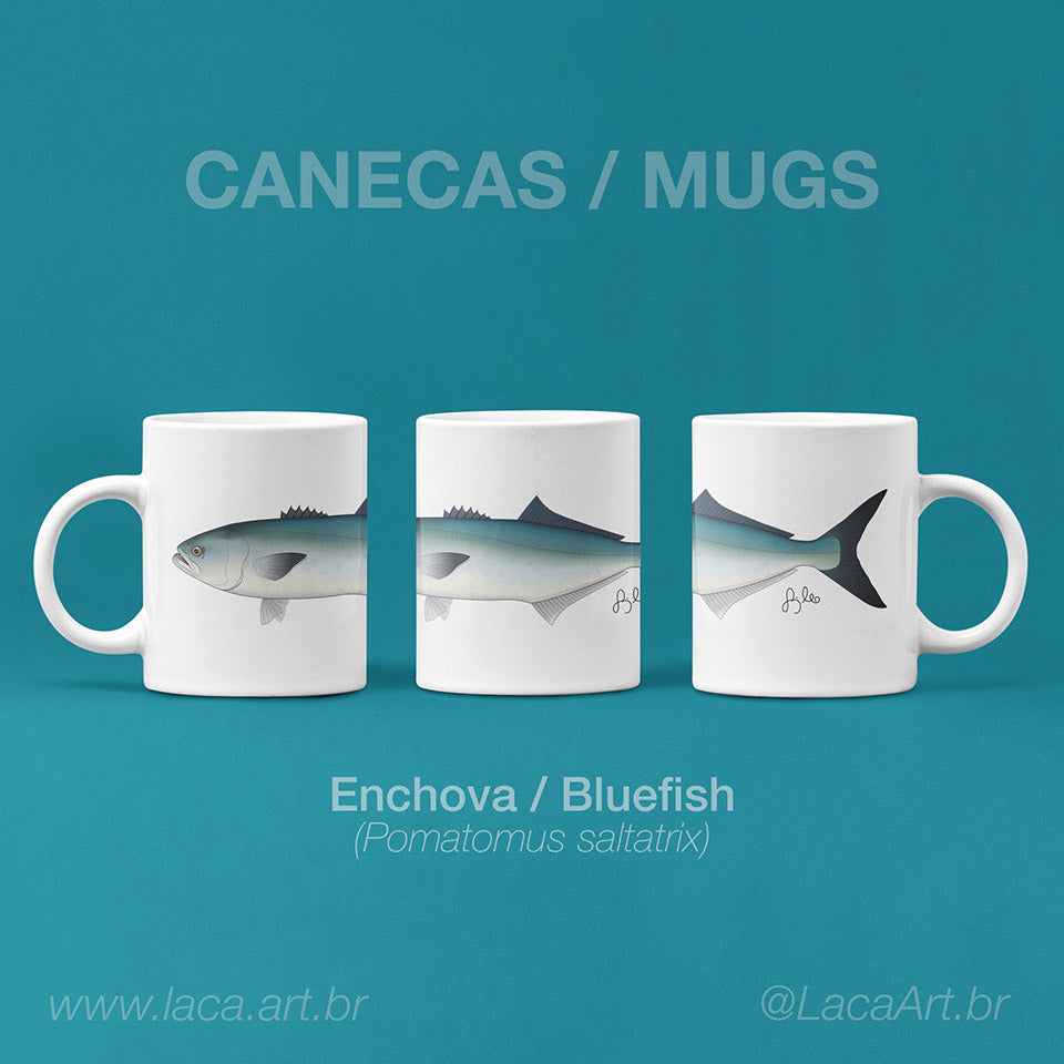 Enchova