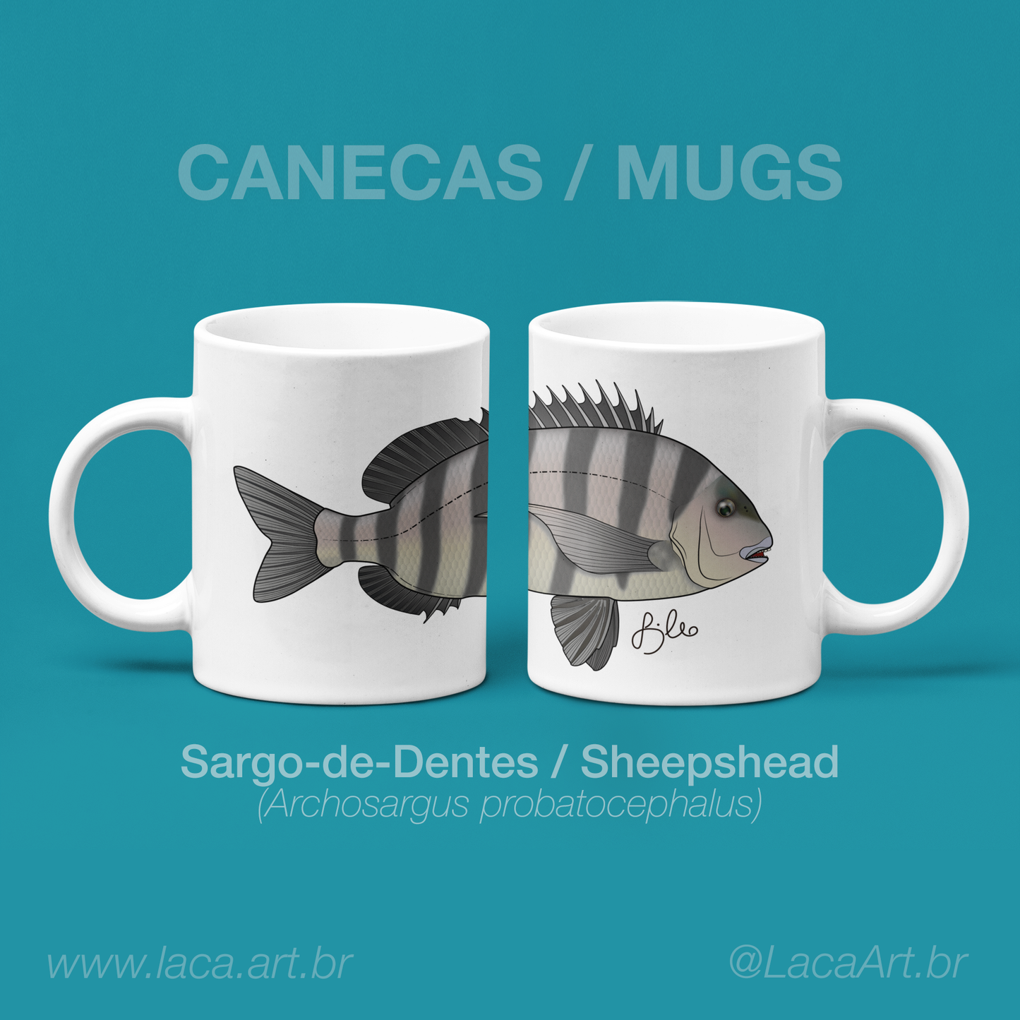 Sargo-de-Dentes