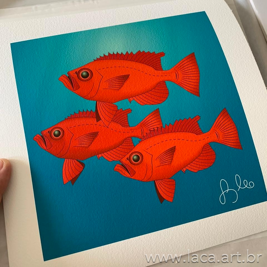 Cardume de Olhos-de-CĂŁo