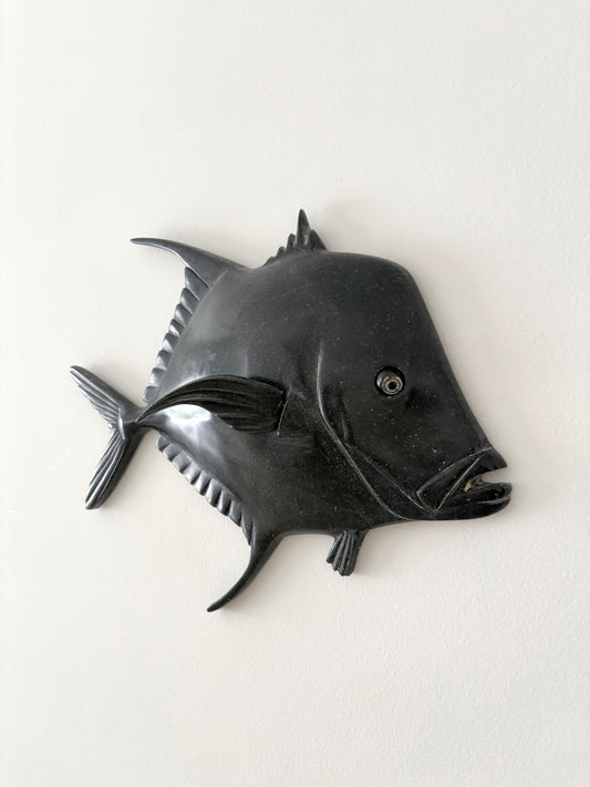 Peixe-Galo