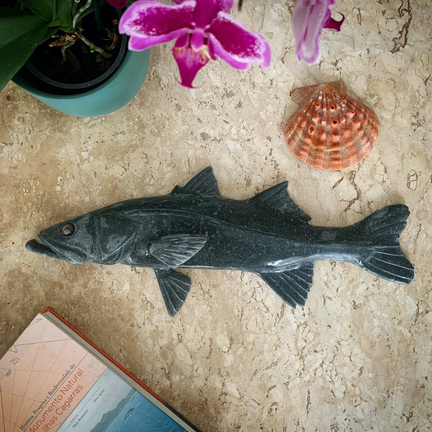 Robalo Peva