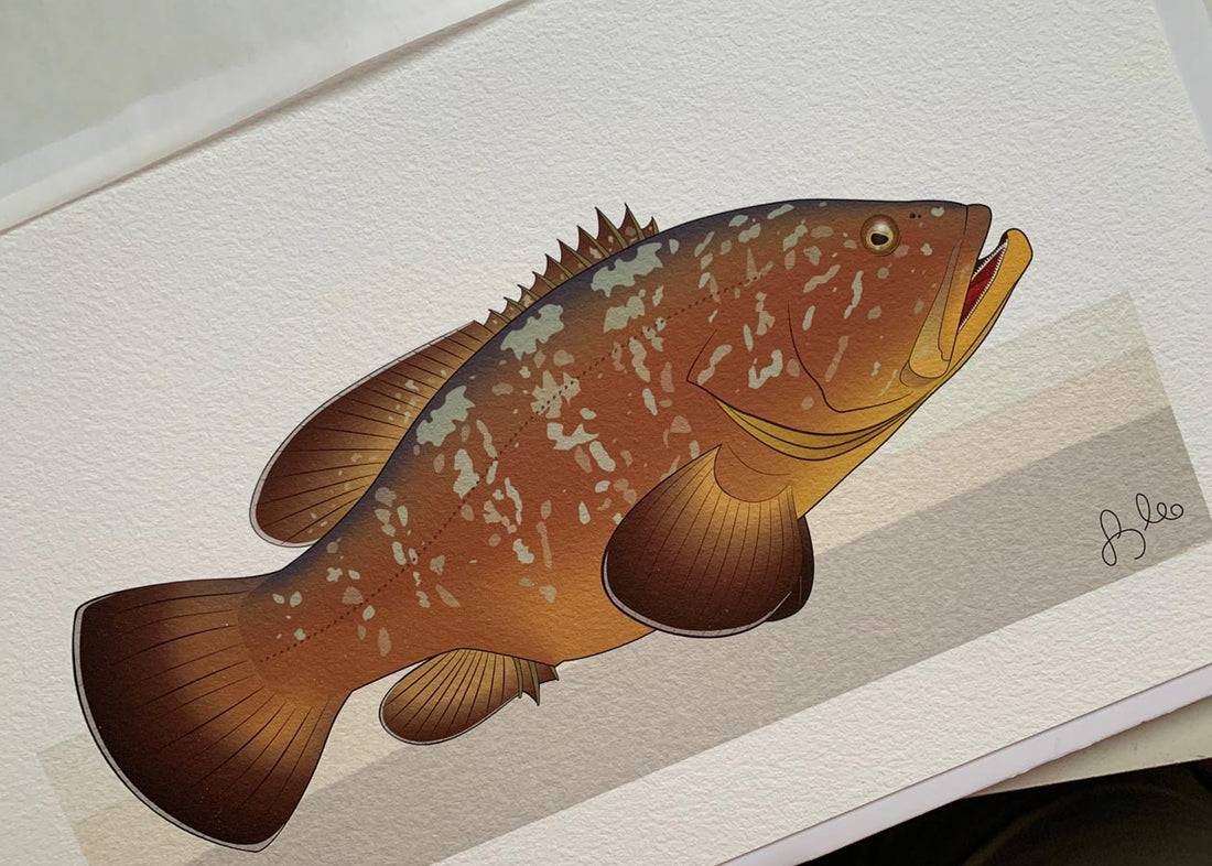 Papel ou Canvas na sua Fine Art?