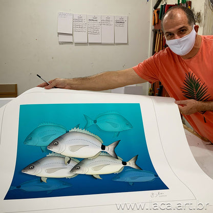 Cardume de Marimbás