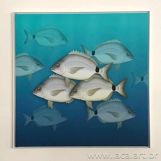 Cardume de Marimbás