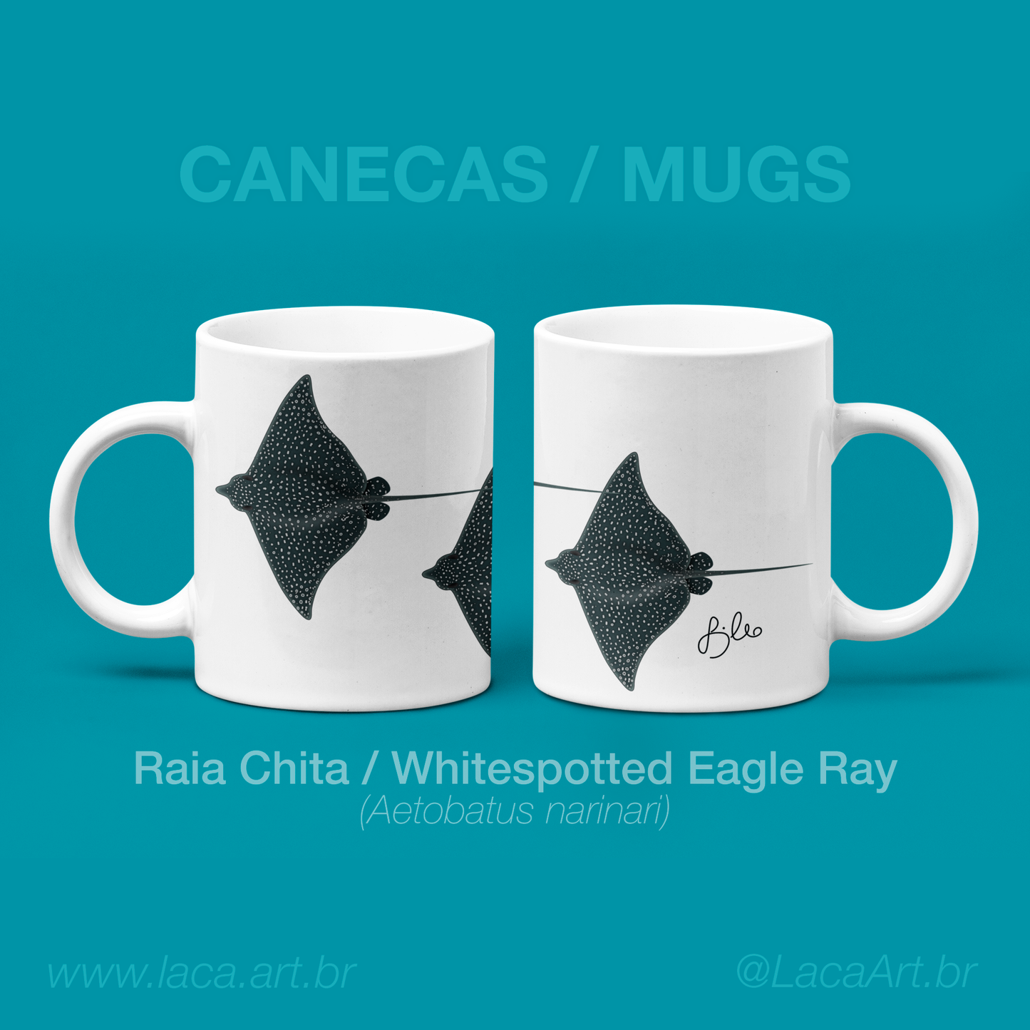 Raias Chita