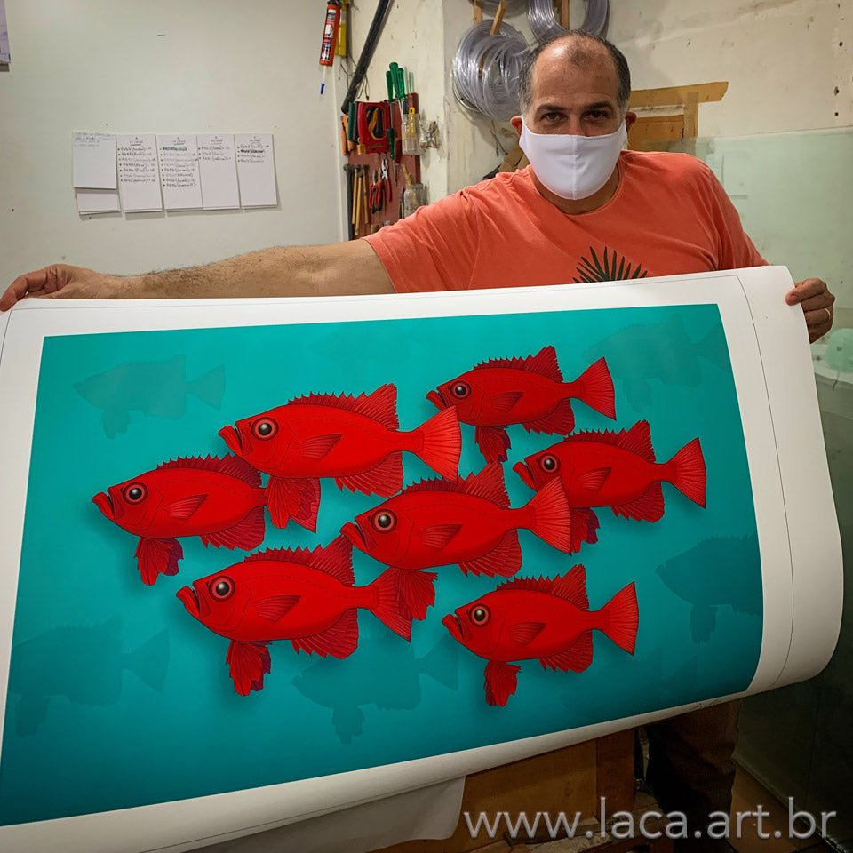 Cardume de Olhos-de-Cão Paisagem Paisagem