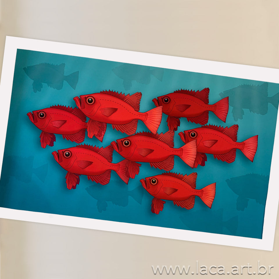 Cardume de Olhos-de-Cão Paisagem Paisagem