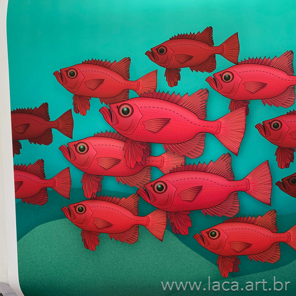 Cardume de Olhos-de-Cão