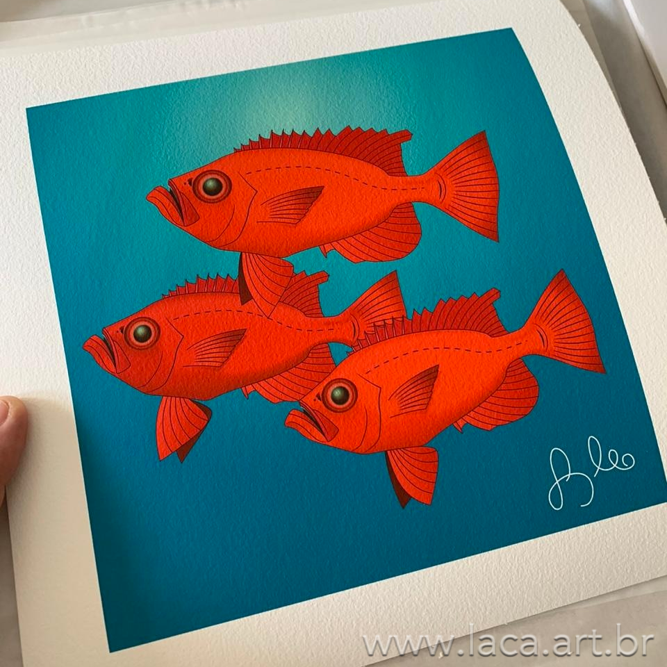 Cardume de Olhos-de-Cão