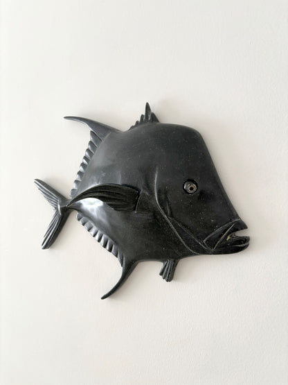 Peixe-Galo