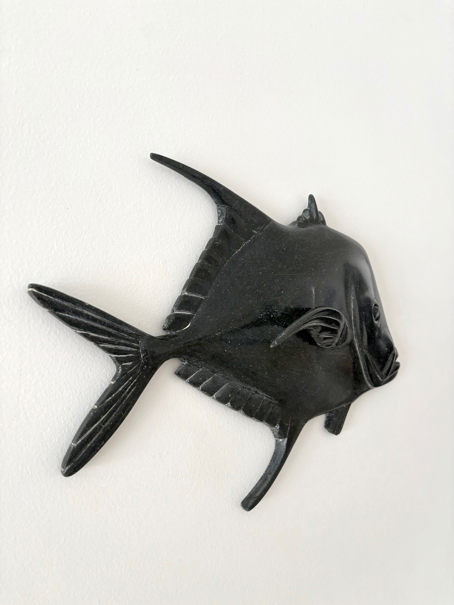 Peixe-Galo