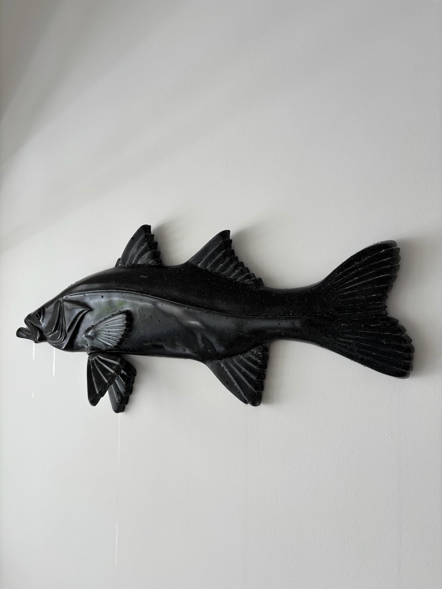 Robalo-Flecha