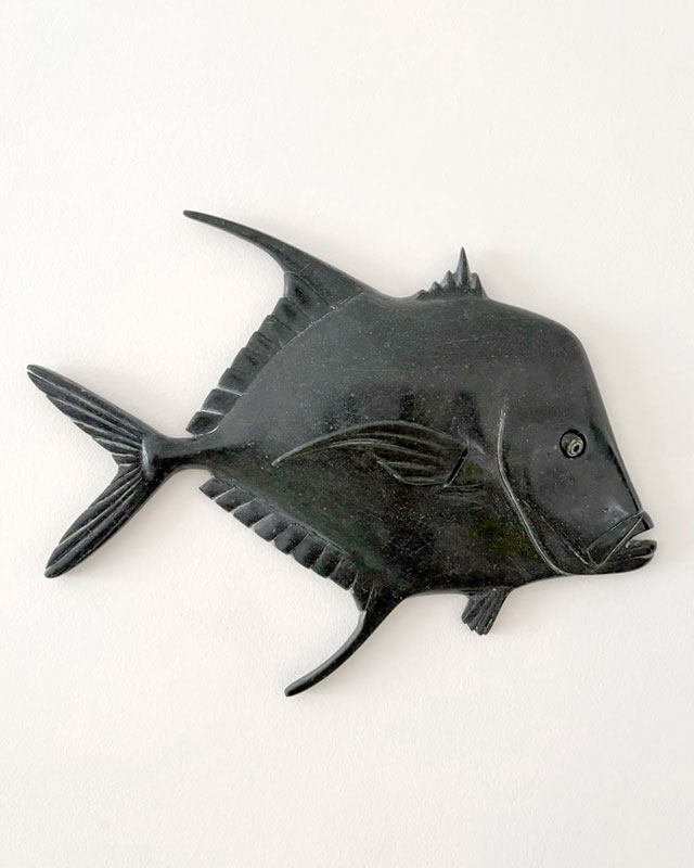 Peixe-Galo