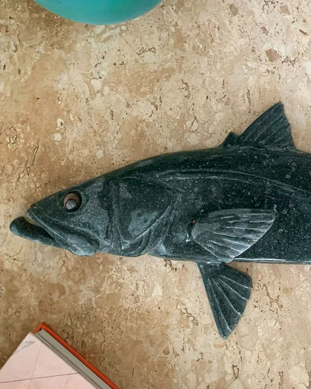 Robalo Peva 2